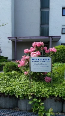 Wellnes massage Therapie, Baden-Württemberg - Foto 2