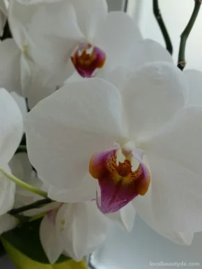 Thai Orchidee Wat Po Massage, Erlangen - Foto 2