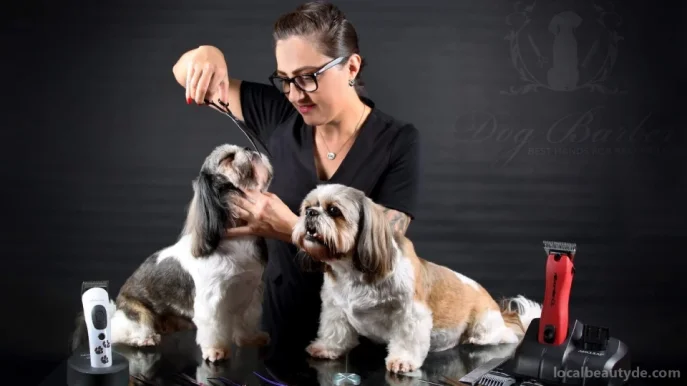 Dog Barber -best-hands-for-best-friends, Hessen - Foto 2
