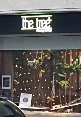 The tree - Massage Lounge, Köln - Foto 2
