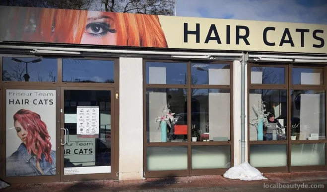 Hair Cats, Niedersachsen - Foto 3