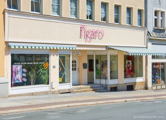 Figaro Hin und Hair, Sachsen - Foto 3