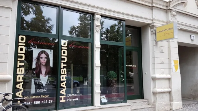 Sandra Zieger Haarstudio Hairmonie, Sachsen-Anhalt - Foto 2